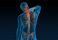 Understanding Your Neck and Back Pain